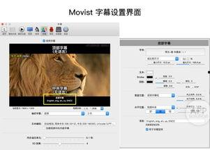 国产色情短视频播放器,揭秘热门平台背后的秘密
